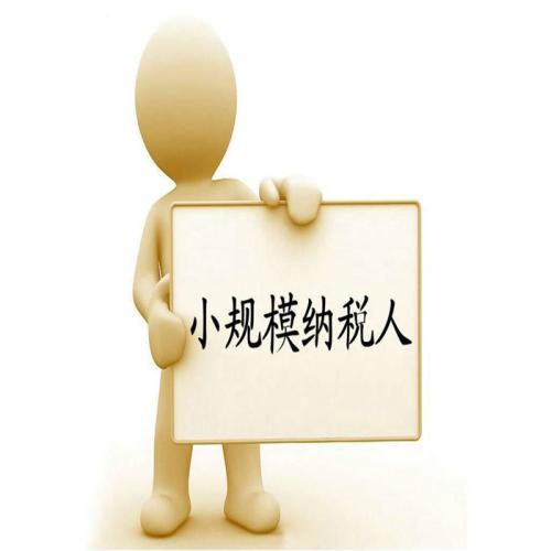小規模登記成一般人將在網上辦理，截止日期是2018.11.20前